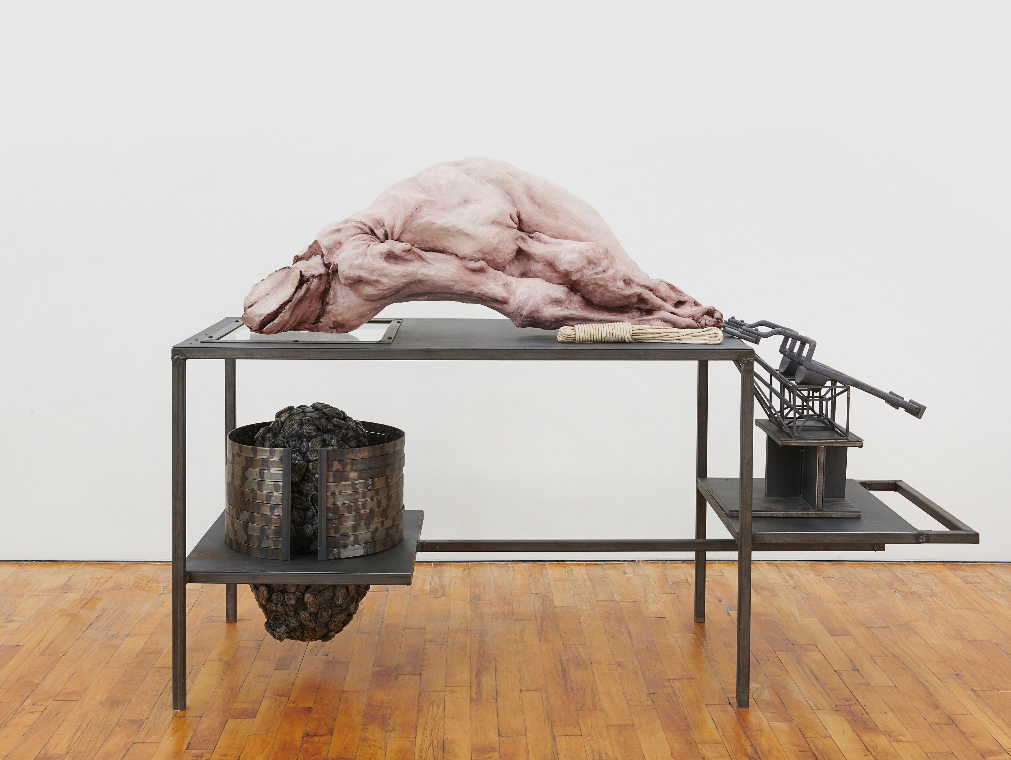 Darja Bajagić, Lionel Maunz, Forest Passage at Tara Downs, photo 22