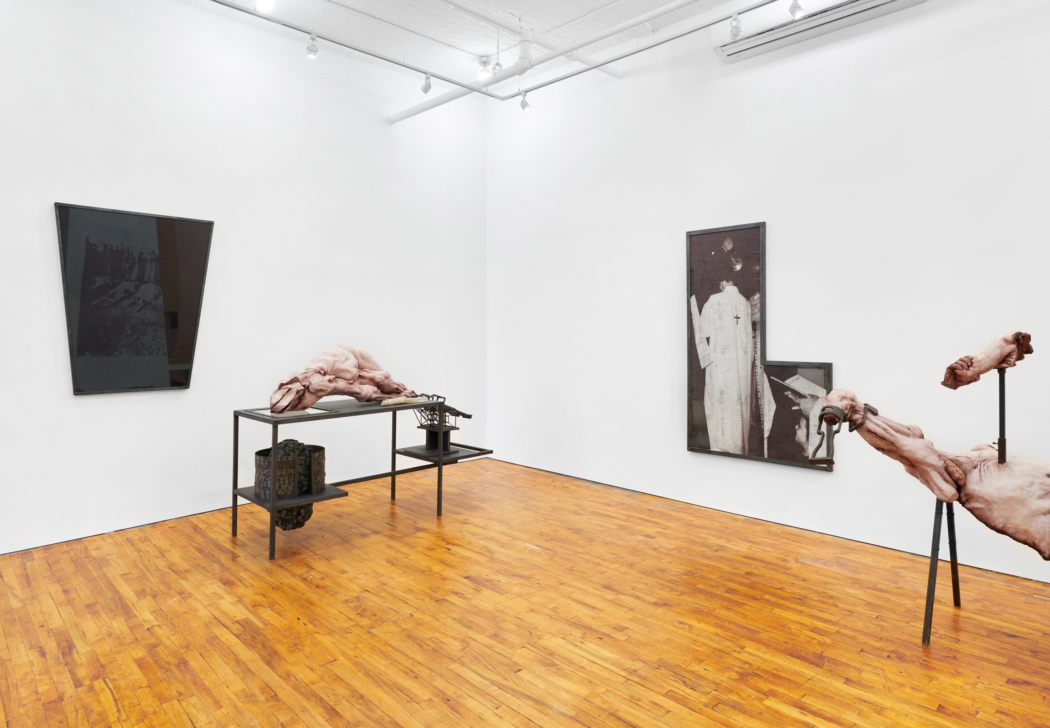 Darja Bajagić, Lionel Maunz, Forest Passage at Tara Downs, photo 25