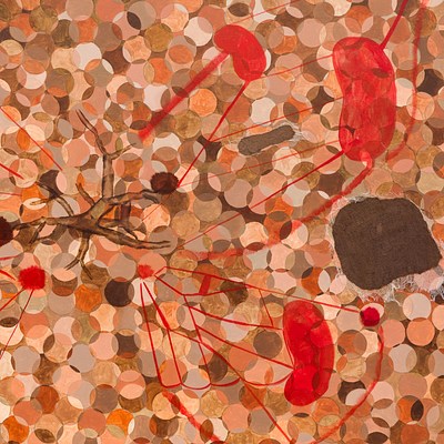 Image 4 of 41