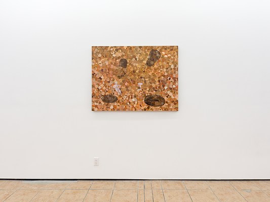 Image 10 of 41