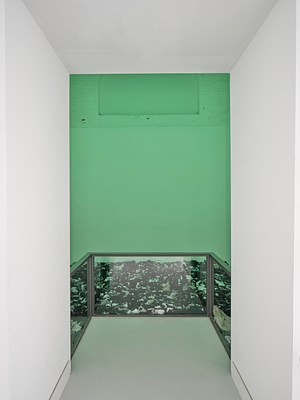 Image 8 of 28