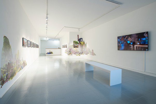 Image 10 of 32