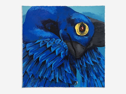 A large square, unframed painting mostly in cobalt blues. The painting portrays a closeup image of a blue dinosaur covered in feathers. The image shows its neck and head curled to rest on its back. It has a large red eye surrounded by yellow. Its beak and crown are black. The dinosaur's neck and face are smooth blue, and it's back has long blue feathers. The small portions of background in the painting are turquoise.