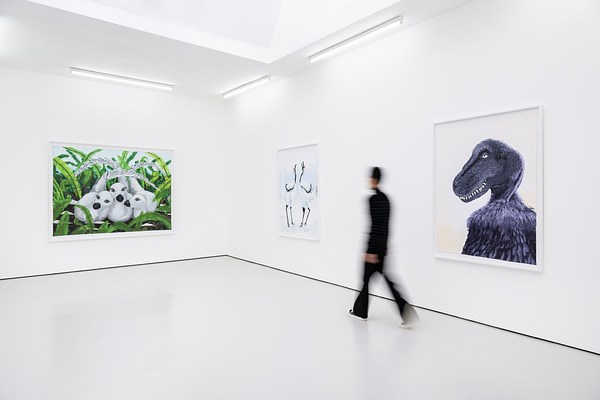 An installation view of the corner of a brightly lit white gallery. Three large paintings are hung on the walls with a blurry image of a person walking through the gallery. On our right a large vertically hung picture of a dinosaur, composed like a traditional portrait from chest to head. Next to it is a small painting of two standing birds, almost mirror images of each other, with heads raised in some kind of call. The last picture on the far wall is a horizontally oriented image of three nesting white birds cuddled in greenery.