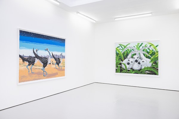 An installation view of the corner of a white, brightly lit gallery. On our left hangs a large, horizontally oriented picture of a group of large ostrich-like birds. They're standing on pale sand colored ground, and the sky behind is made up of layers of white, pale turquoise, cobalt and black with stars. On our right is a large horizontally oriented painting of three white birds cuddled together amongst curving green leaves. The eyes of the birds are huge and looking directly at the viewer. Each of the white birds has a long feathered tail that curves along the same line as the grasses they sit in.
