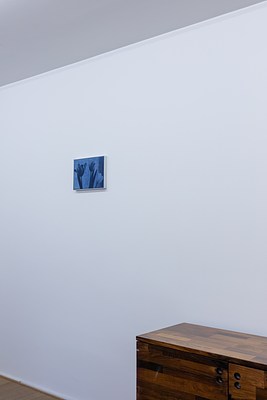 Image 4 of 49