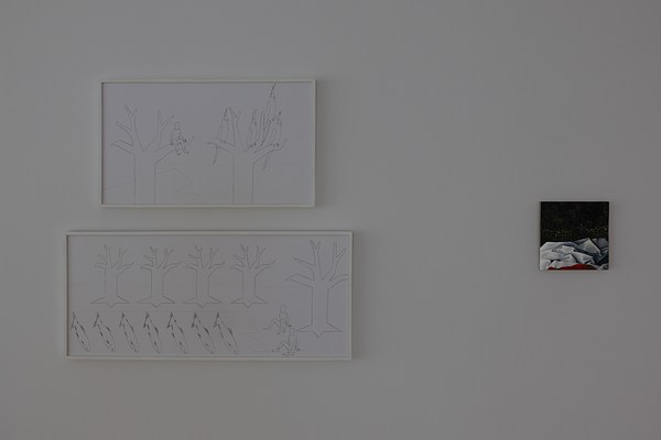 Image 14 of 23