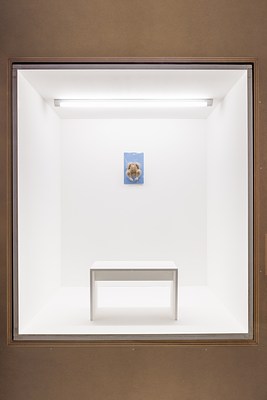 Image 2 of 5