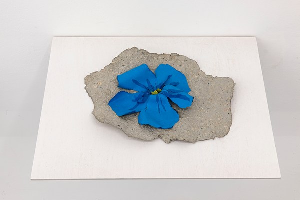 Image 20 of 25