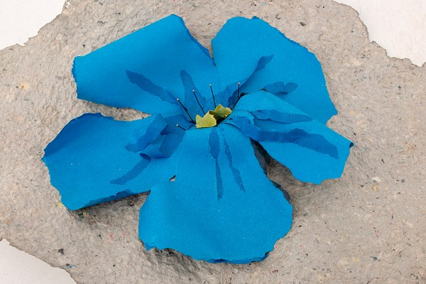 Image 21 of 25