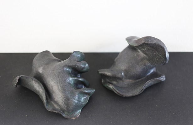 Image 12 of 25
