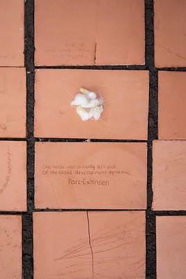Image 14 of 36
