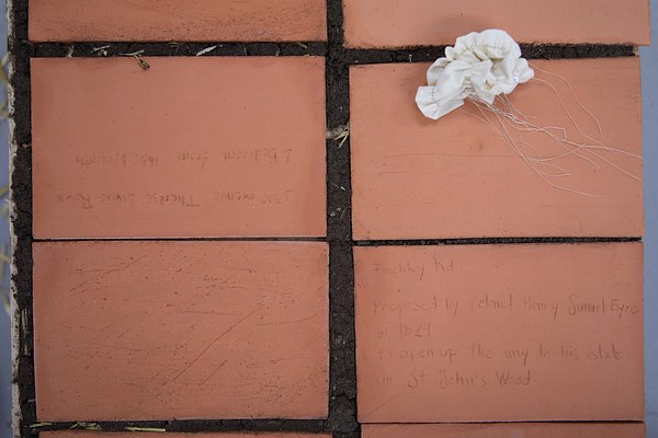 Image 15 of 36