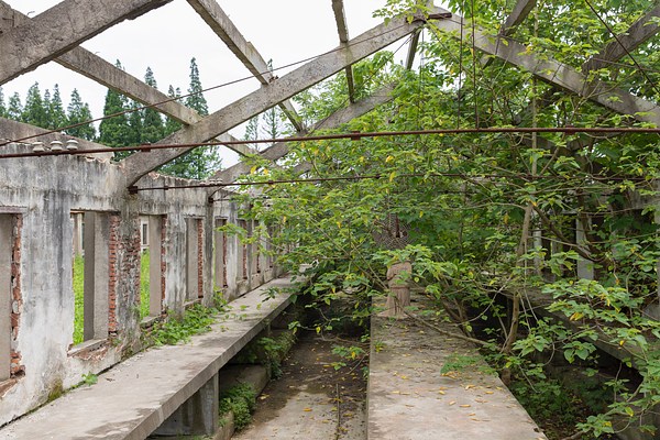 Image 8 of 13