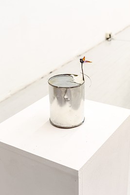 Image 10 of 29