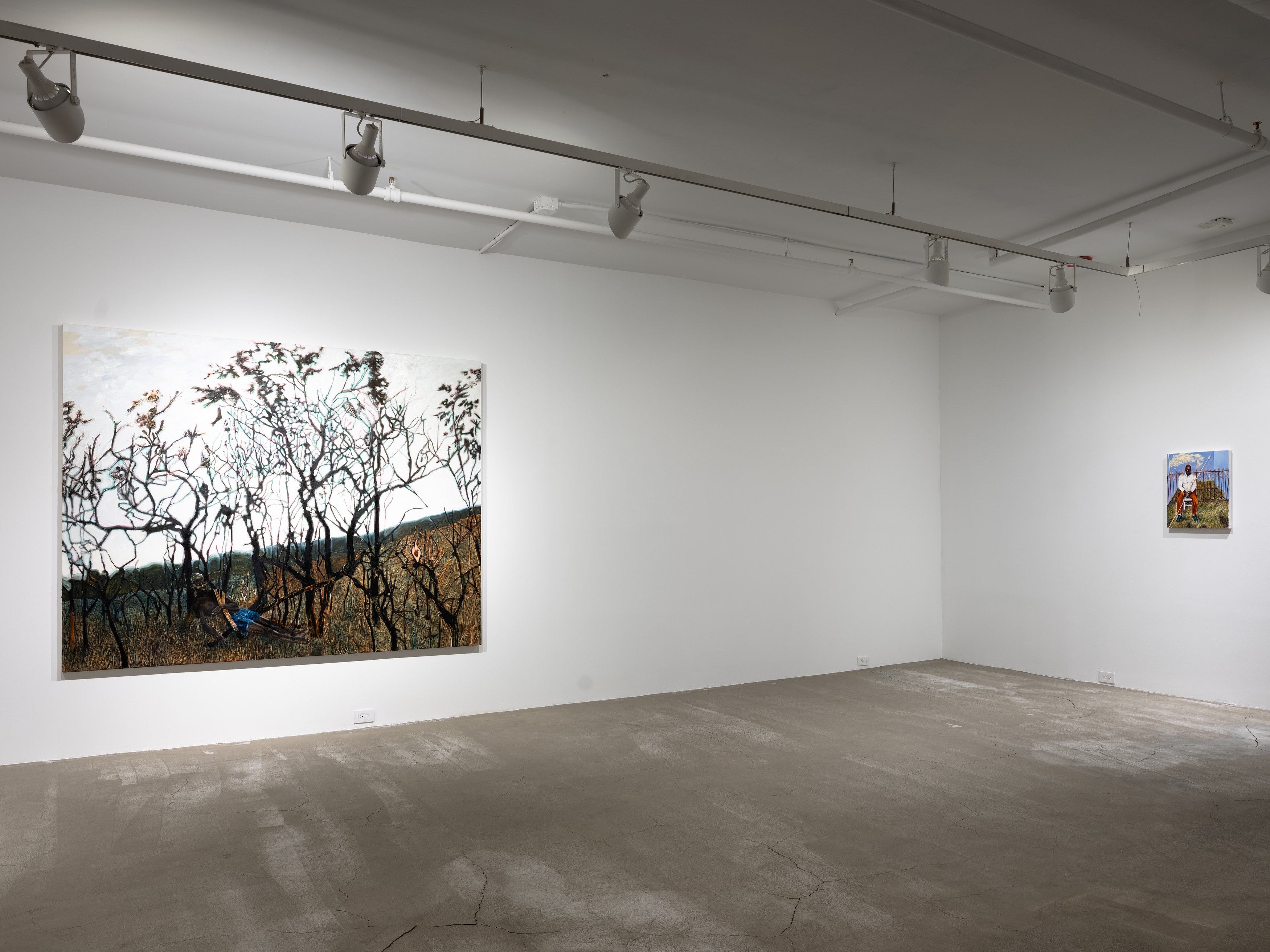 Antonio Obá, Outras águas / Other waters at Mendes Wood DM, photo 15