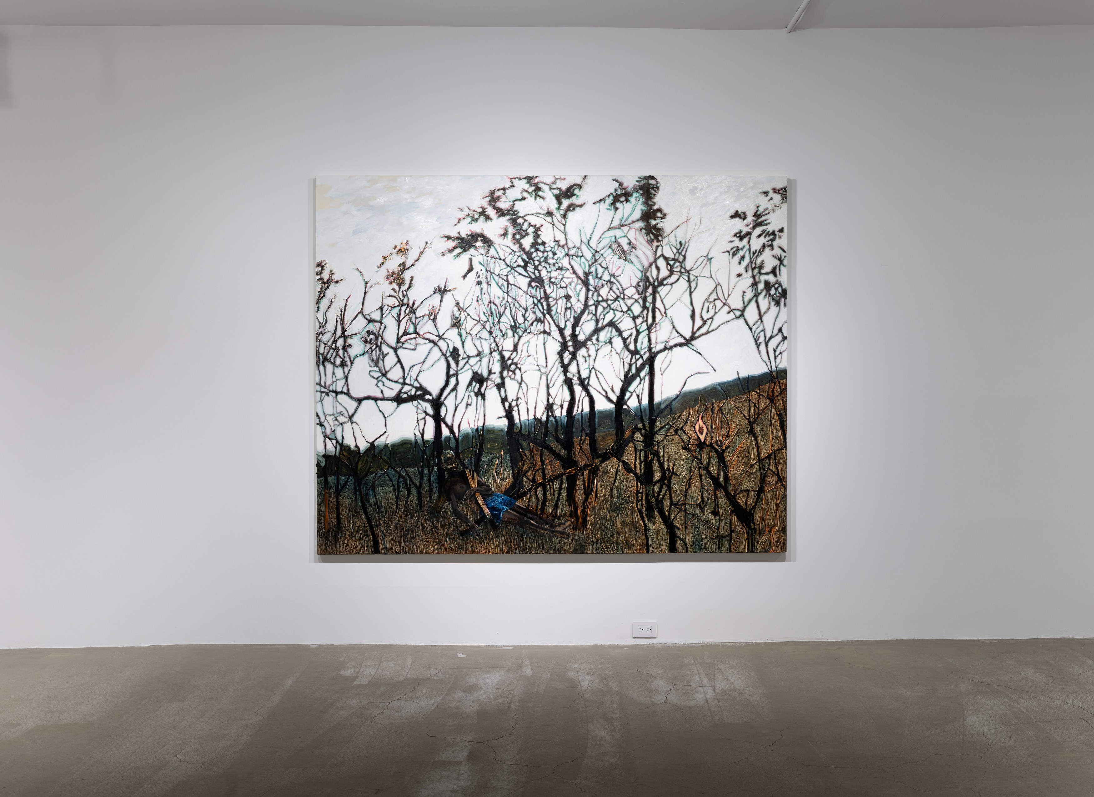 Antonio Obá, Outras águas / Other waters at Mendes Wood DM, photo 16