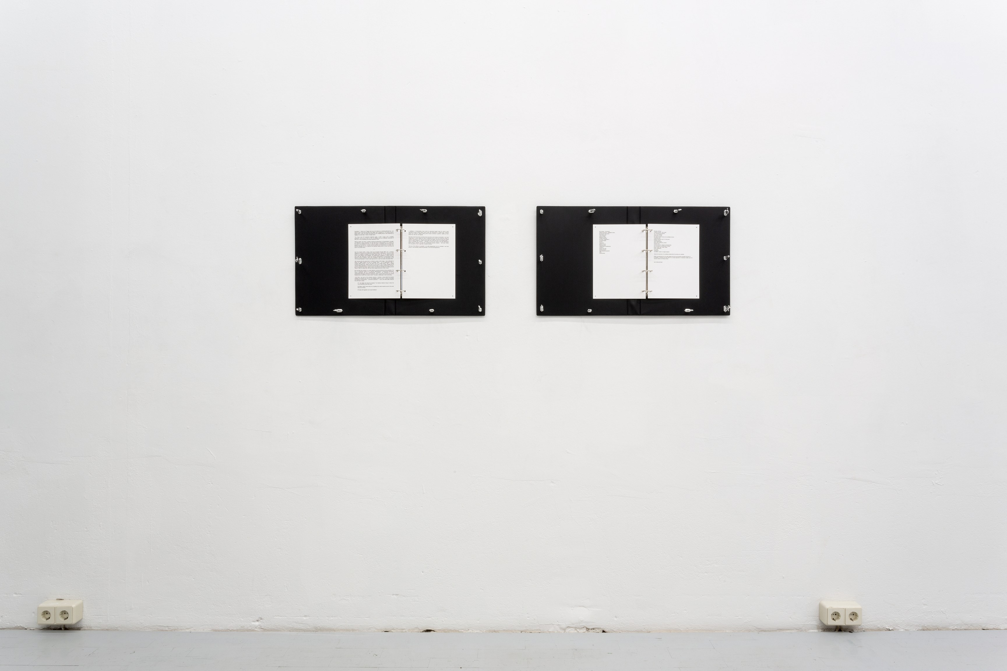 Joachim Bandau, Juliana Halpert, Irina Lotarevich, Plasma at Scherben, photo 3