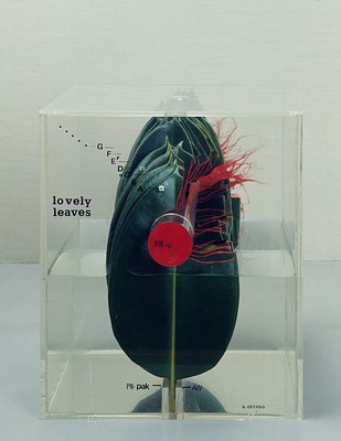 Image 6 of 13