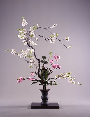 Image 10 of 13