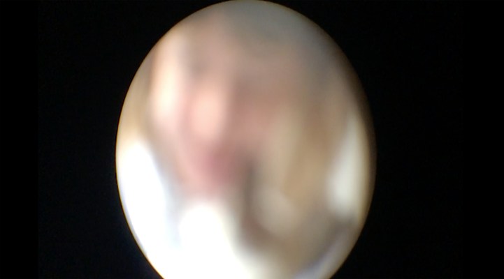 Image 8 of 15