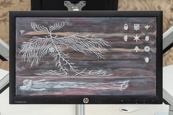 Image 5 of 25
