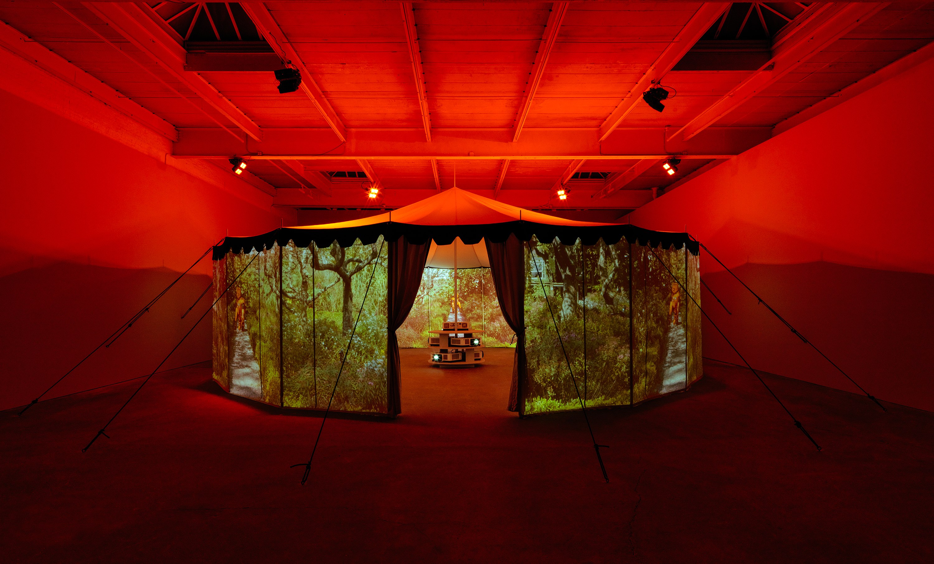 Diana Thater, Practical Effects at Josh Smith Studio, Brooklyn, photo 5