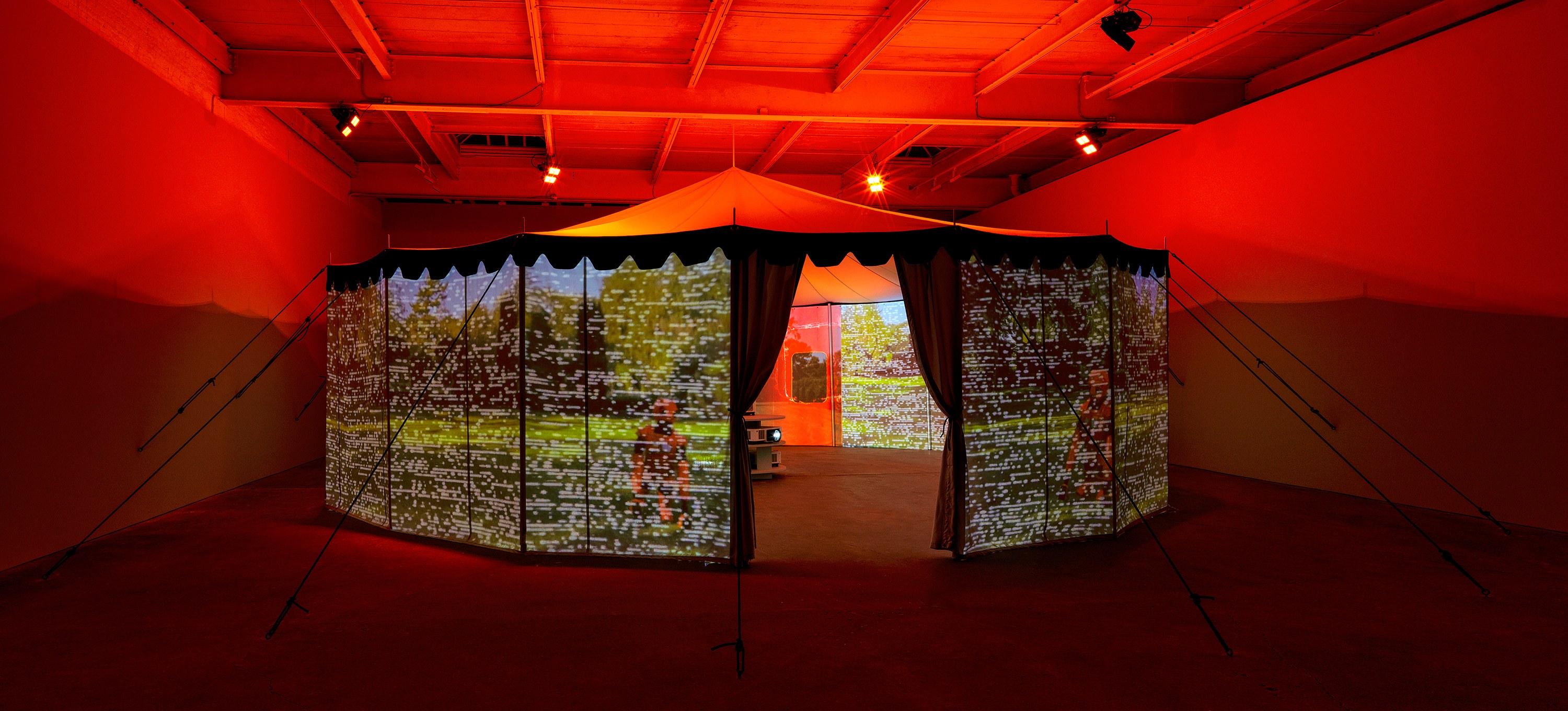 Diana Thater, Practical Effects at Josh Smith Studio, Brooklyn, photo 8