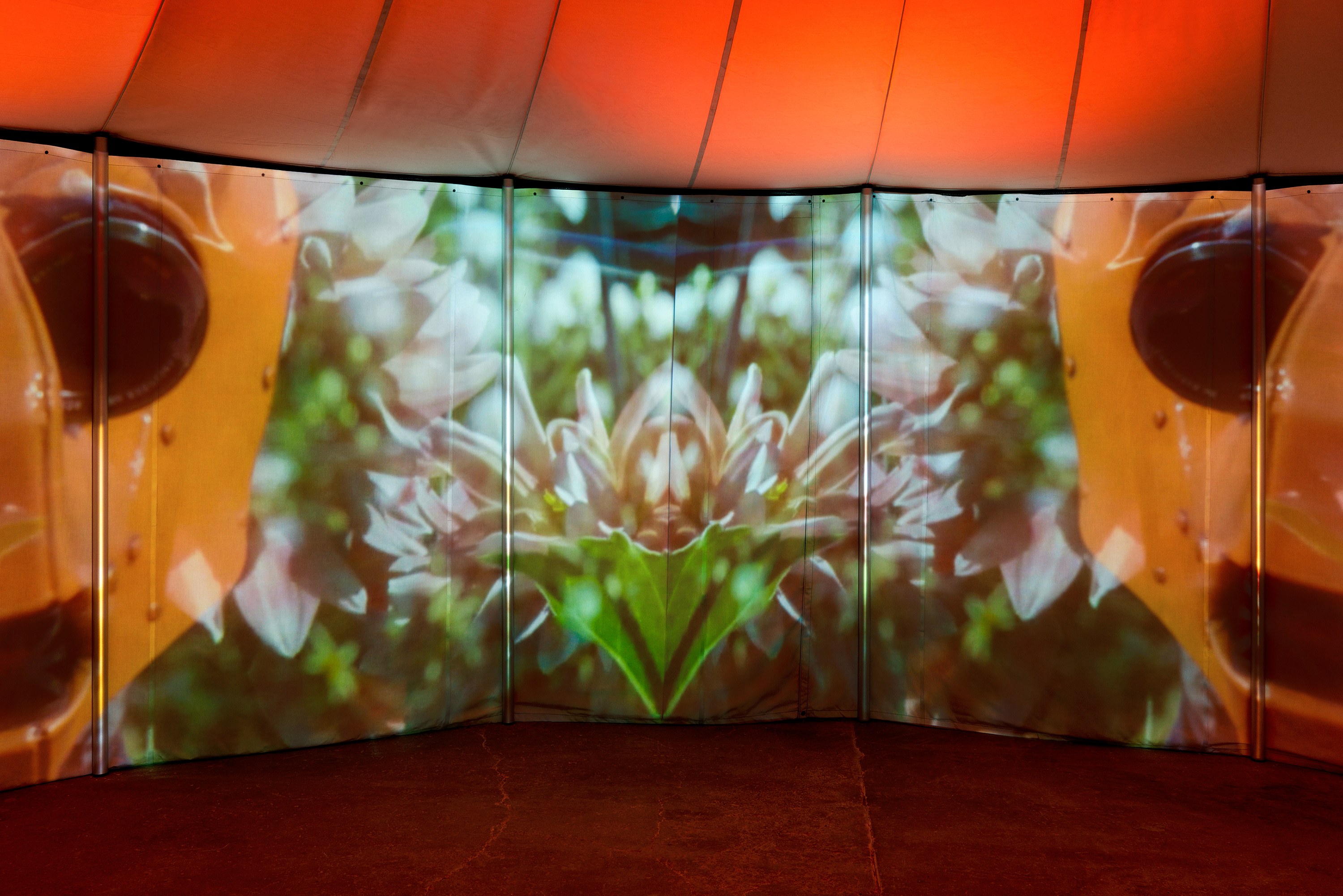 Diana Thater, Practical Effects at Josh Smith Studio, Brooklyn, photo 10