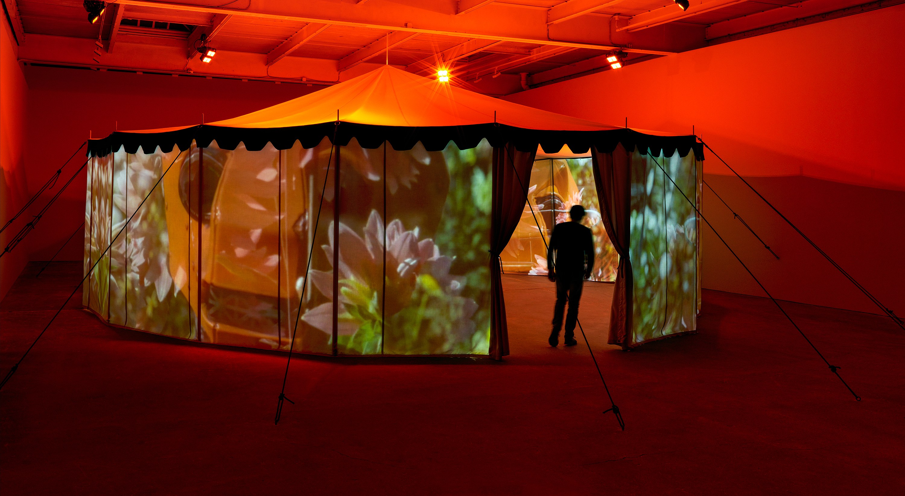 Diana Thater, Practical Effects at Josh Smith Studio, Brooklyn, photo 11