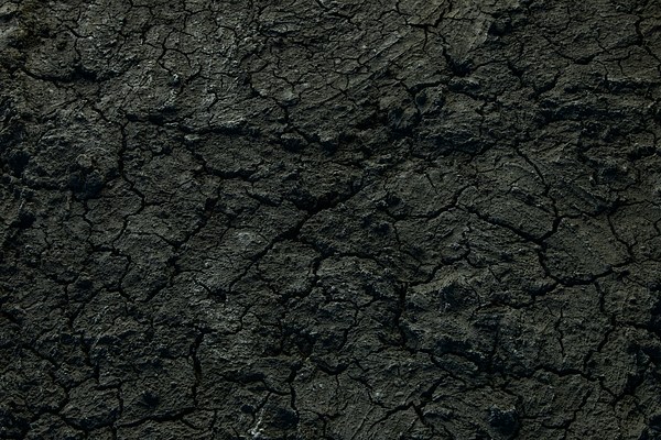 Image 5 of 45