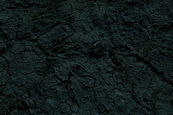 Image 6 of 45