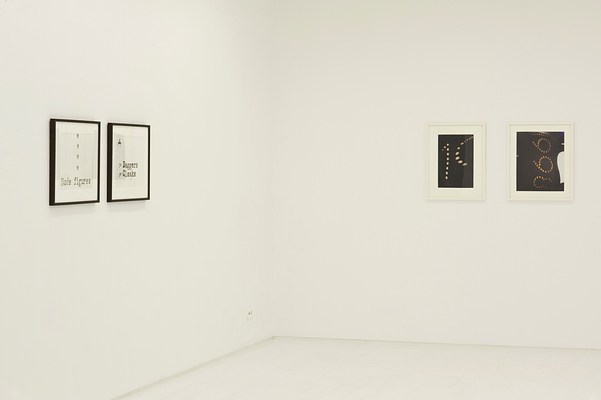 Image 7 of 26
