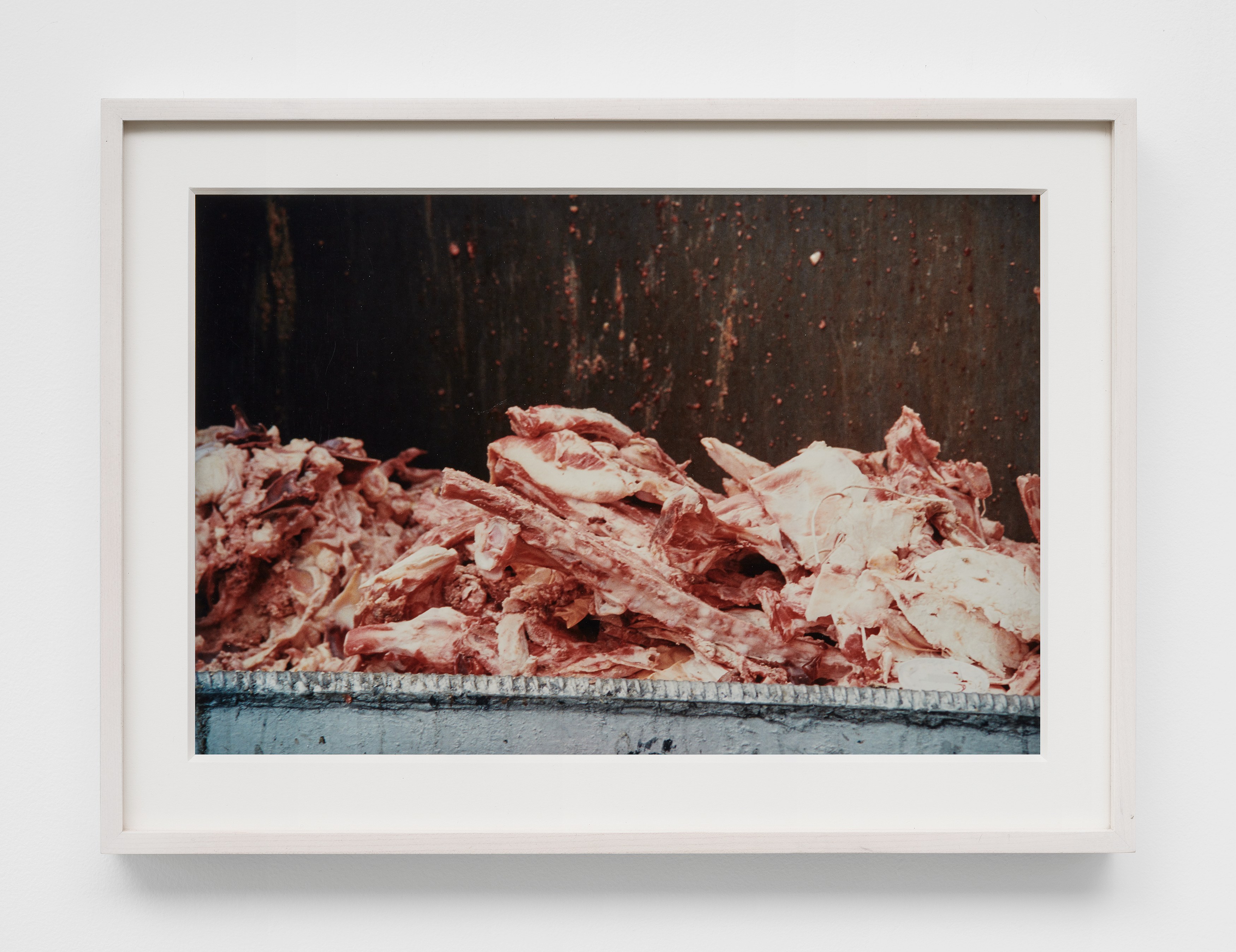 Oceans of Time, Oceans of Time at Château Shatto, photo 8
