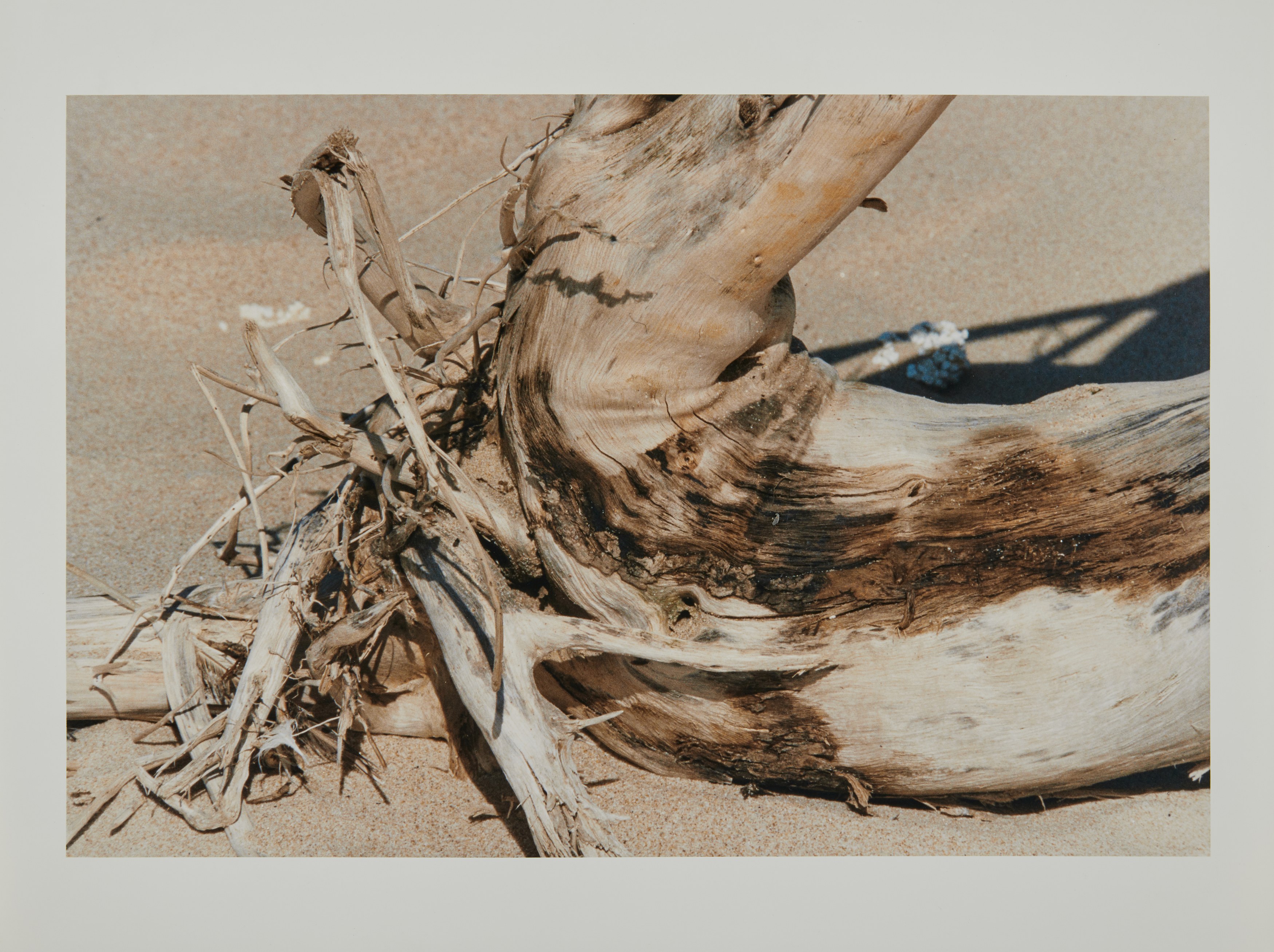 Oceans of Time, Oceans of Time at Château Shatto, photo 11