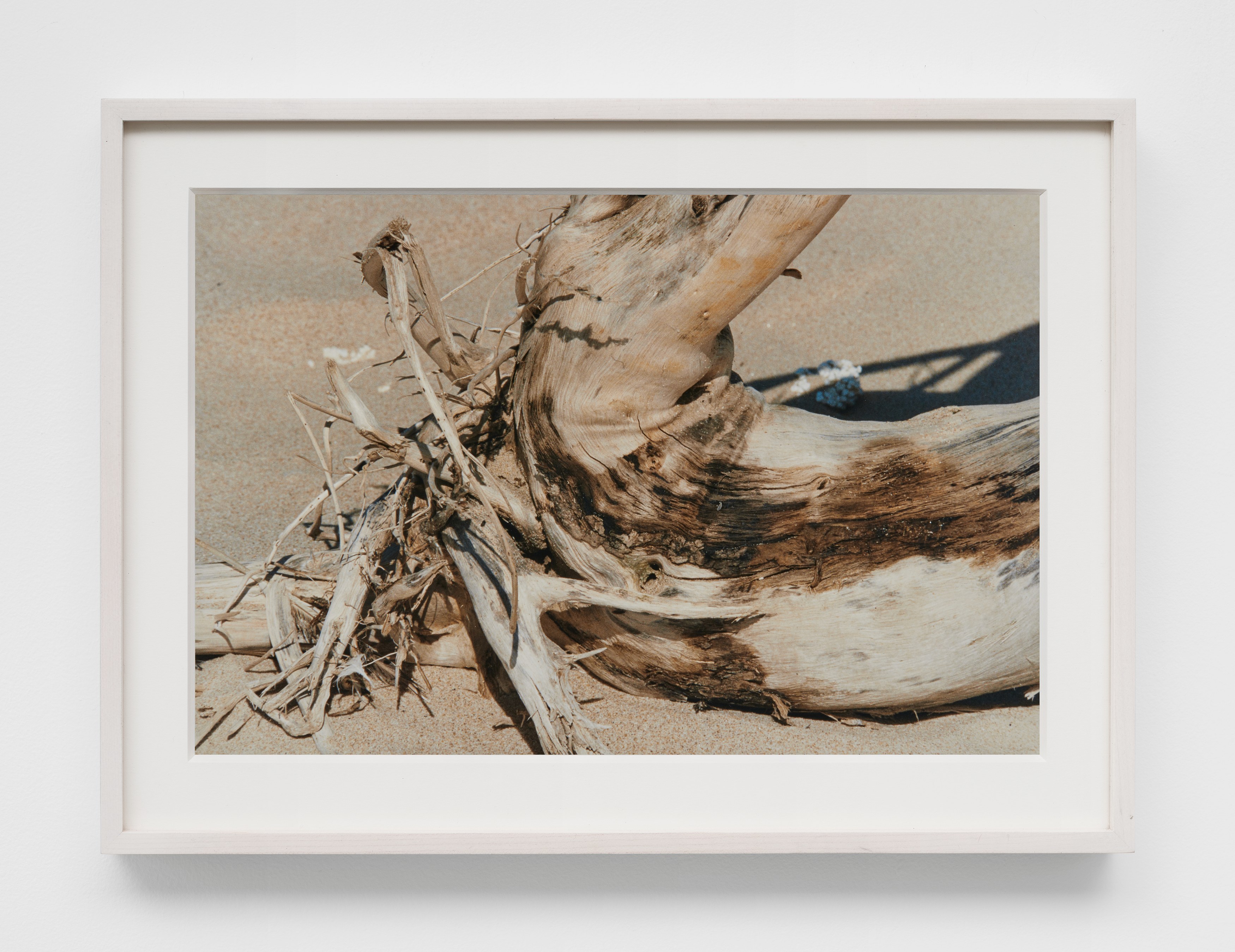 Oceans of Time, Oceans of Time at Château Shatto, photo 10