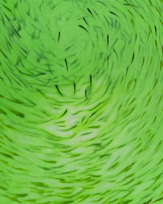 Image 28 of 61