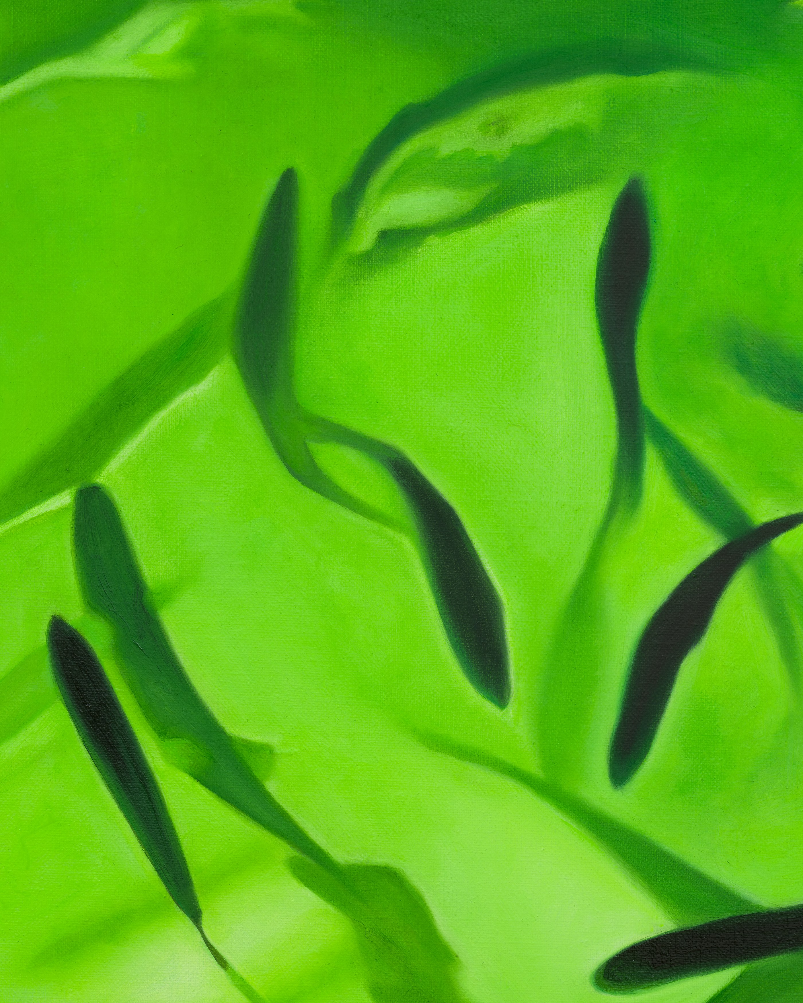 Oceans of Time, Oceans of Time at Château Shatto, photo 34