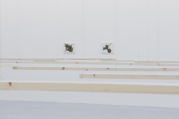 Image 4 of 11