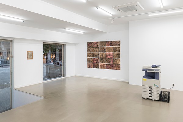 Image 2 of 14