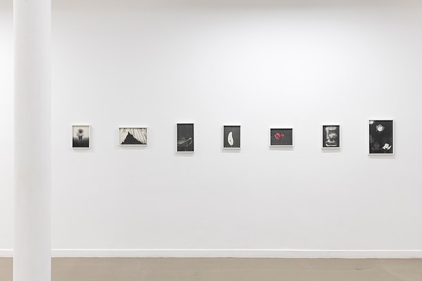 Image 4 of 14