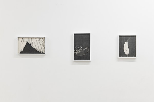 Image 7 of 14