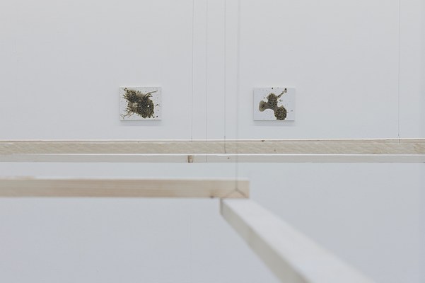 Image 6 of 11