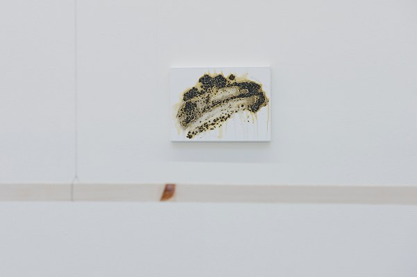 Image 7 of 11