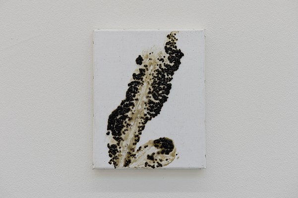 Image 8 of 11