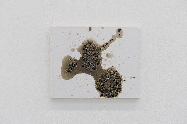 Image 10 of 11