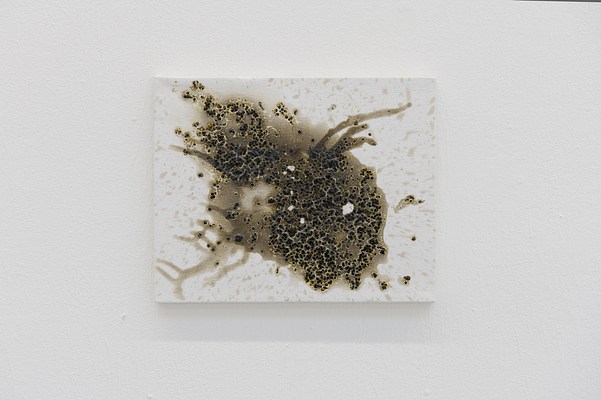 Image 11 of 11