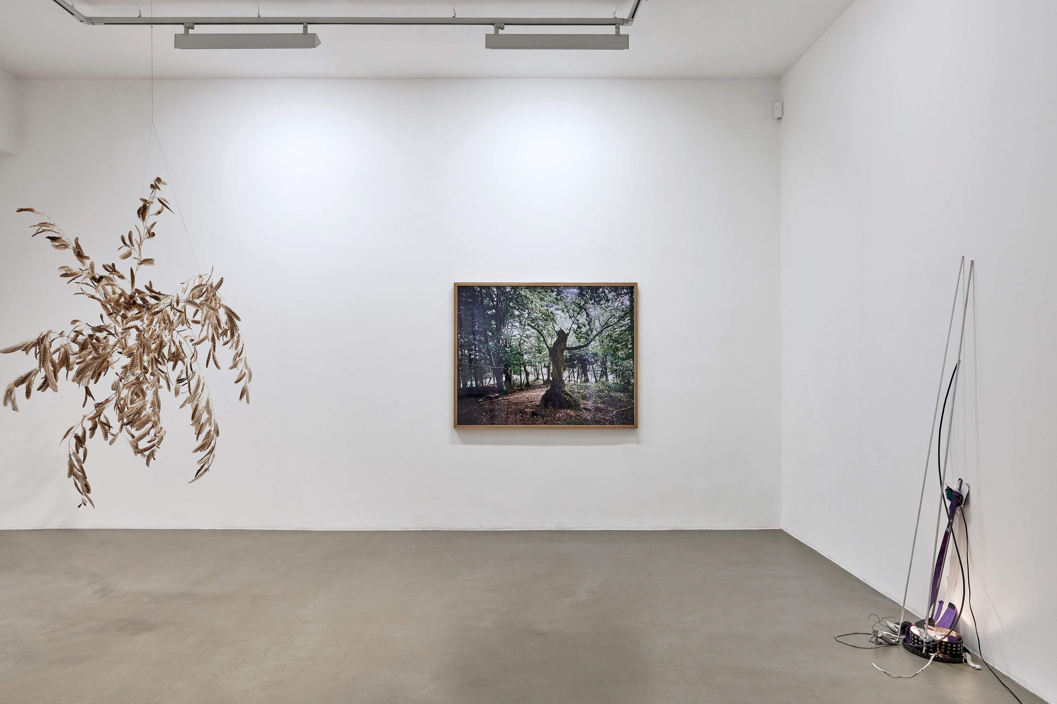 Demain Est La Question, Demain Est La Question at Galerie Chantal Crousel, photo 2
