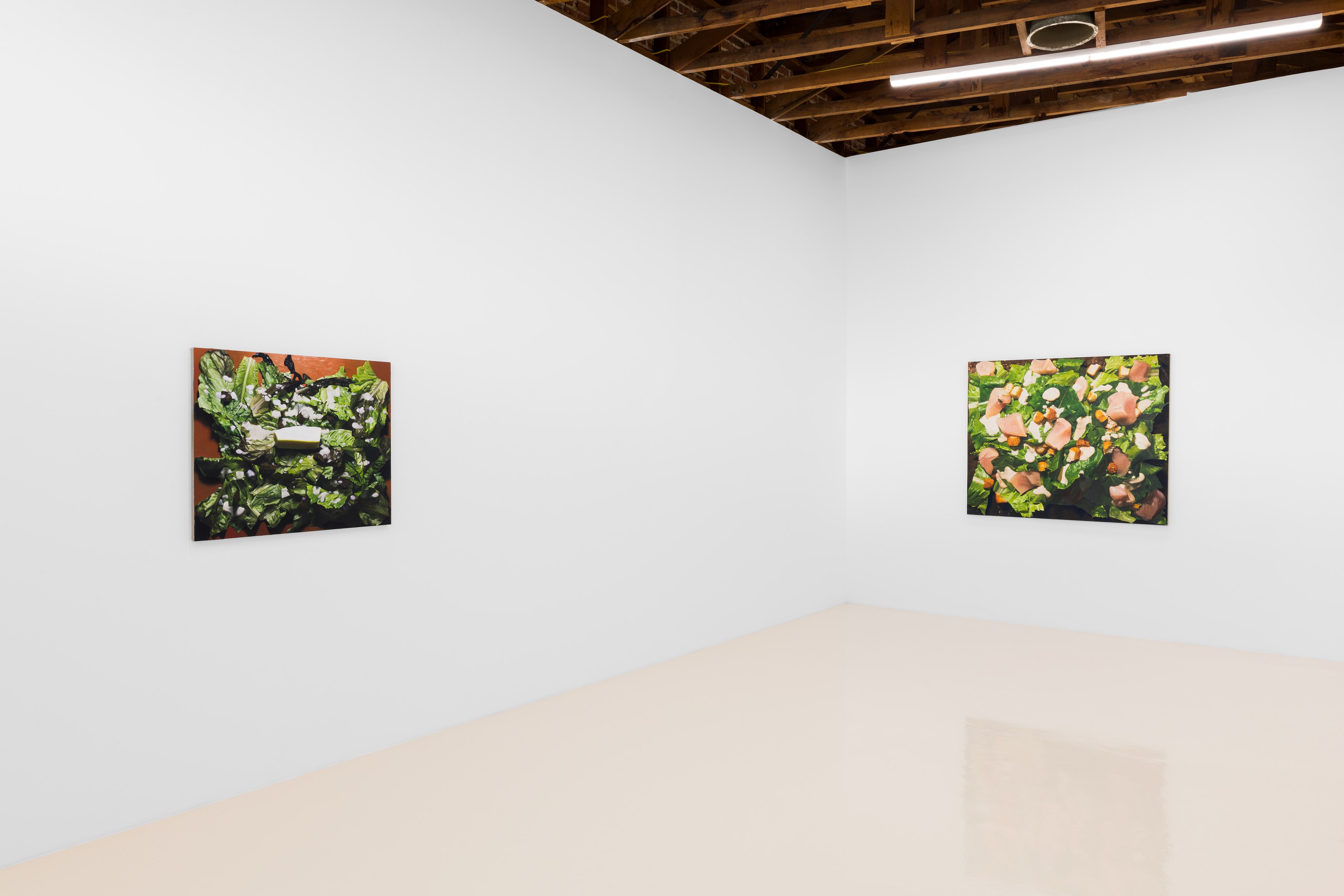 Adam Higgins, My Salad Years at Chris Sharp Gallery, photo 2
