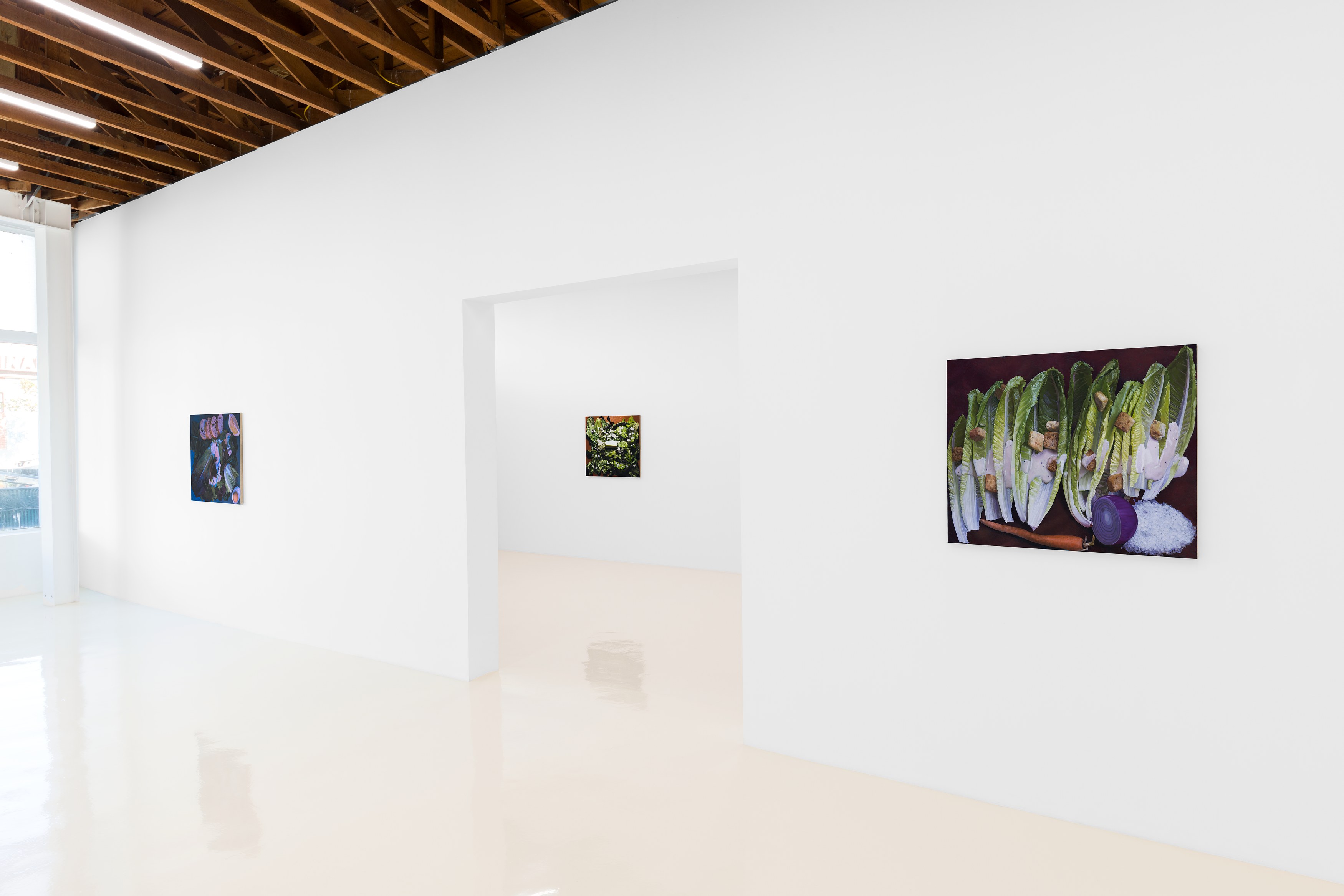 Adam Higgins, My Salad Years at Chris Sharp Gallery, photo 6